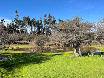Venta / Terreno / Zapallar