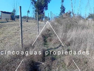 Imagen 22