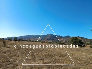Imagen 11