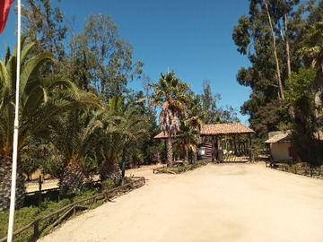 Venta / Terreno / Zapallar