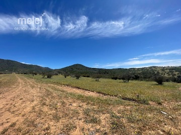 Venta / Terreno / Zapallar