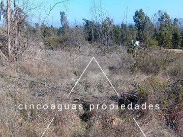 Imagen 15