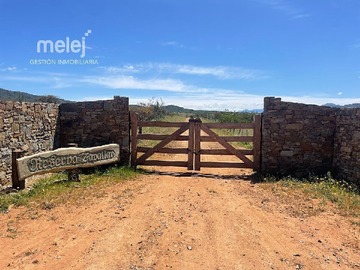 Venta / Terreno / Zapallar