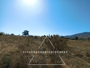 Imagen 21