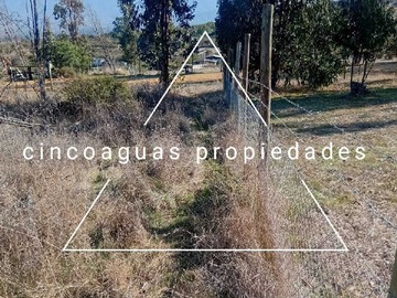 Imagen 14