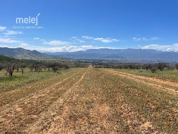 Venta / Terreno / Zapallar