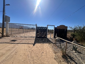 Venta / Terreno / Zapallar