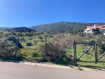 Venta / Terreno / Zapallar