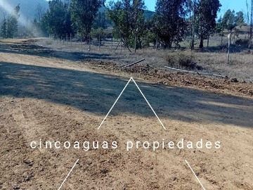 Imagen 11