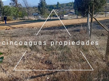 Imagen 20