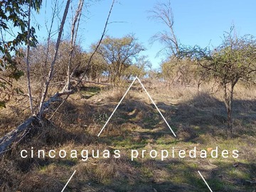 Imagen 13