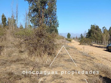 Imagen 21