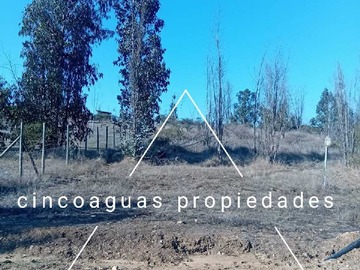 Imagen 16