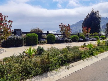 Venta / Terreno / Zapallar