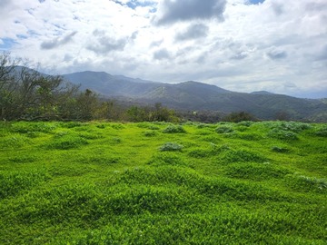 Venta / Terreno / Zapallar