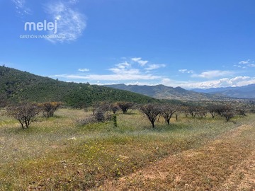 Venta / Terreno / Zapallar